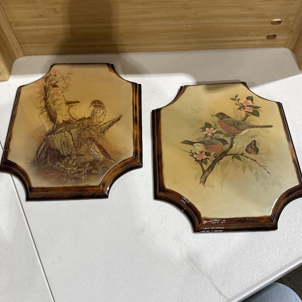 Vintage Bird Wall Plaques Set of 2 Lacquered Wood Charlie’s Crafts Florida